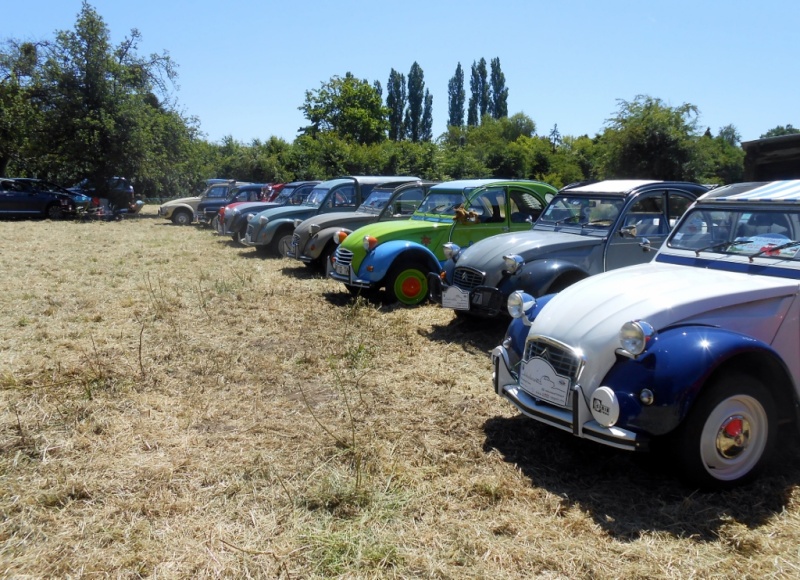 5ème Rassemblement du 2CV Club Francilien à CHAUMONTEL (6 et 7 juin 2015) Dscn3935