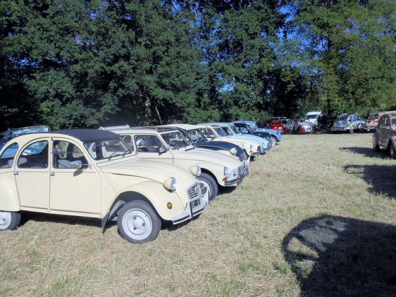 5ème Rassemblement du 2CV Club Francilien à CHAUMONTEL (6 et 7 juin 2015) Dscn3945