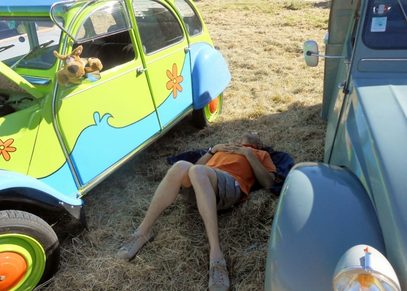 5ème Rassemblement du 2CV Club Francilien à CHAUMONTEL (6 et 7 juin 2015) Dscn3950