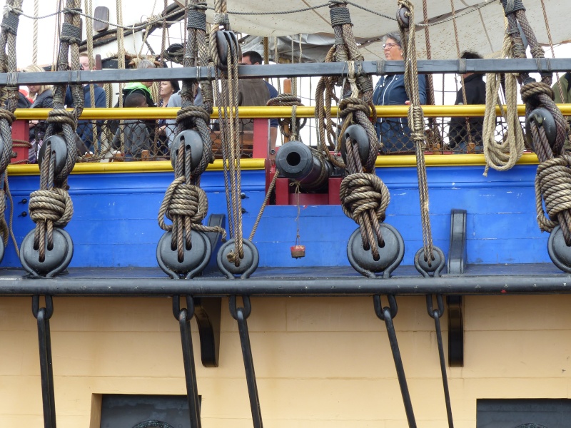 L'Hermione (et le musée de Rochefort) - Page 29 P1020021