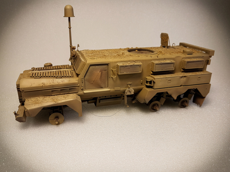 POST APOCALYPTIQUE PROJECT Cougar19