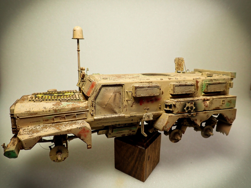 POST APOCALYPTIQUE PROJECT Cougar25