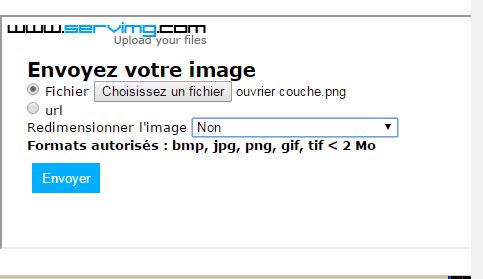 STREET VIEW : En toute discrétion... - Page 2 Servim10
