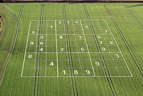 Les crop circles Articl10