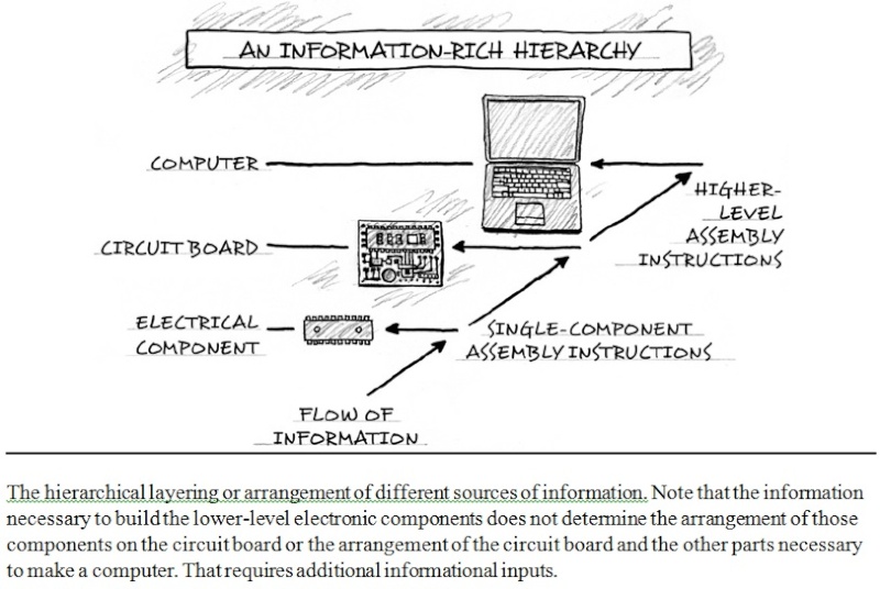 Irreducible complexity is not a argument from ignorance Dfsdfd12