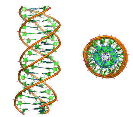 On origin of genetic code and tRNA before translation First_10