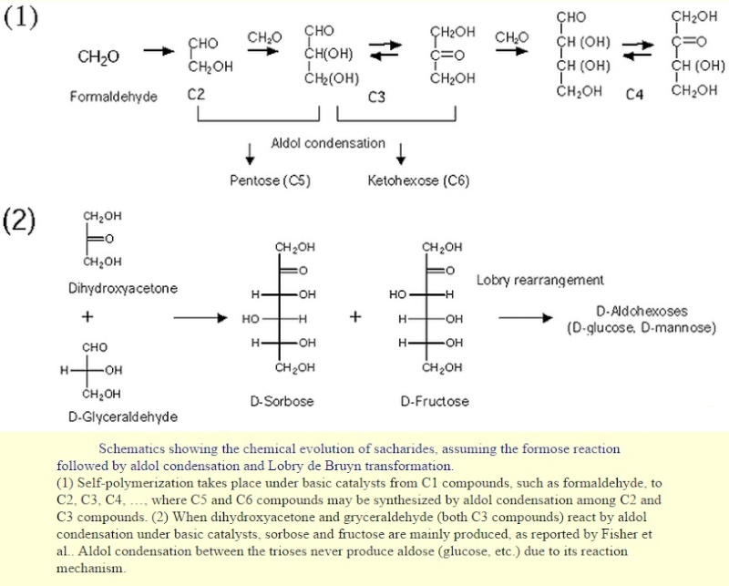 Carbohydrates and glycobiology:  the "3rd alphabet of life" after DNA and proteins Glycow11