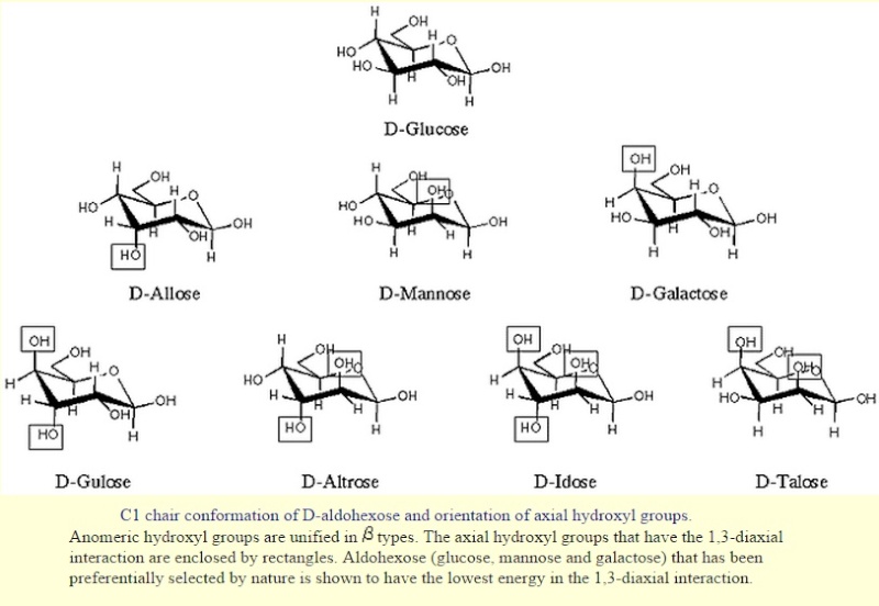 Carbohydrates and glycobiology:  the "3rd alphabet of life" after DNA and proteins Glycow12