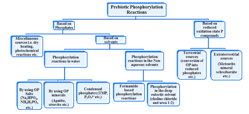 Phosphate, essential for life Iopio10