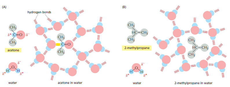 Cell Membranes, origins through natural mechanisms, or design ? Jkljqz13