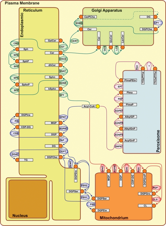 Cell Membranes, origins through natural mechanisms, or design ? Jlr50s12