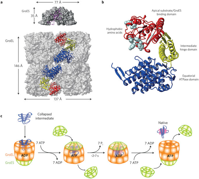 The Rubisco enzymes amazing evidence of design Nplant14