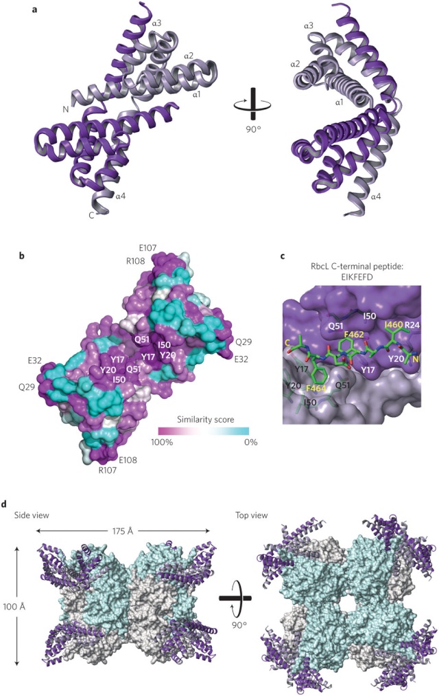 The Rubisco enzymes amazing evidence of design Nplant17