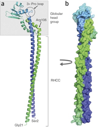 The irreducibly complex ATP Synthase nanomachine, amazing evidence of design Nsmb_118