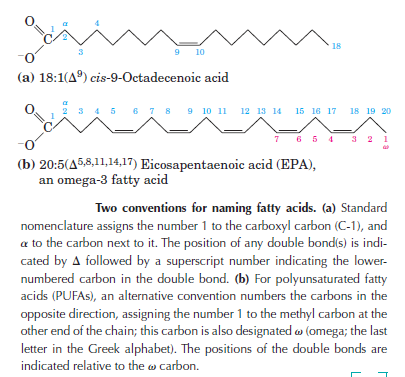 The amazing fatty acid synthase nano factories, and origin of life scenarios O7789710