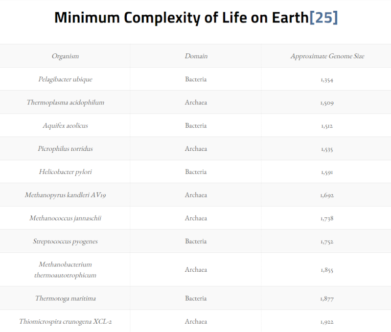 Simplest bacteria unravelled at the cellular level The_or10