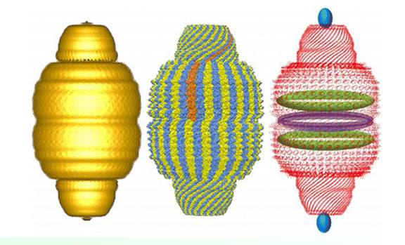 Vault particles, made by a 3d Polyribosome nano-printer The_va10