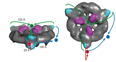The amazing fatty acid synthase nano factories, and origin of life scenarios Tyuutu10