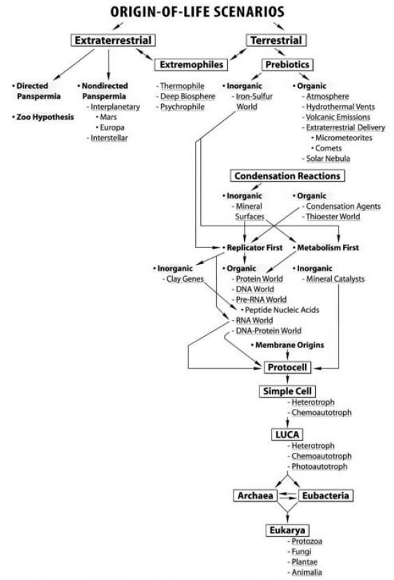 The naturalistic approach of origin of life scenarios Xcvvxc10