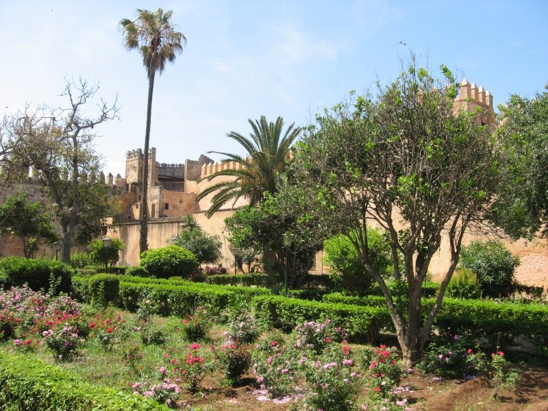 Le jardin des Oudayas à Rabat ( Maroc) 28-1311