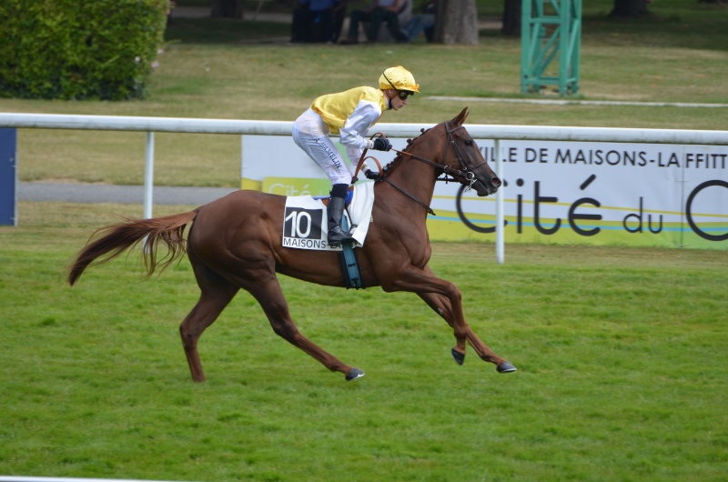 Le compteur de victoires : 4 août 2015, Deauville, 2646 Dsc_0319