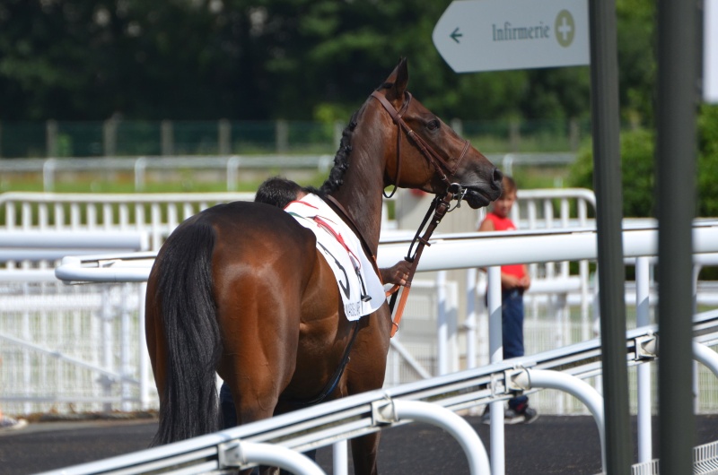 5 juillet Maisons-Laffitte  Dsc_0612