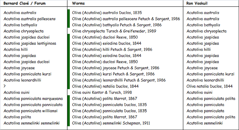  Olividae Acutoliva - Discussion sur le genre Acutol12