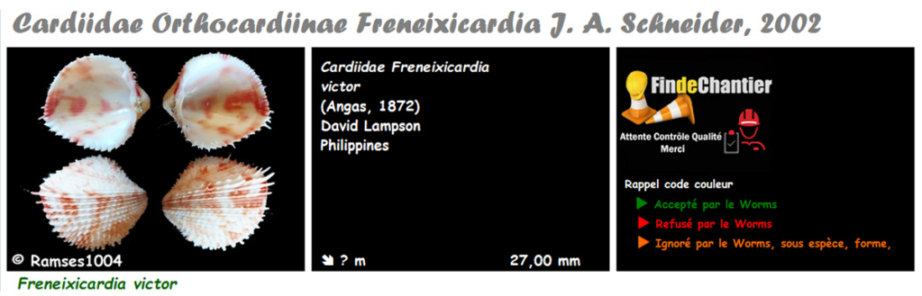 Cardiidae Orthocardiinae Freneixicardia - Le genre, l'espèce, la planche Frenei11