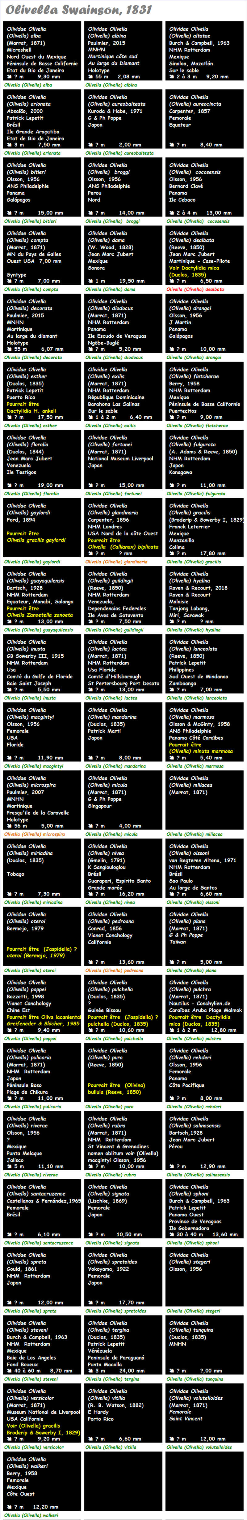  Olividae Olivella - Le genre, les espèces, la planche Olivel32