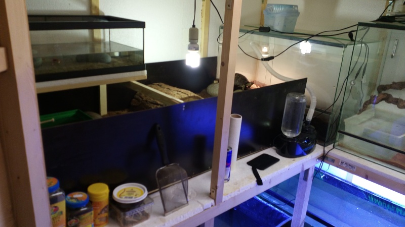 Nouvelles installations Img_2036