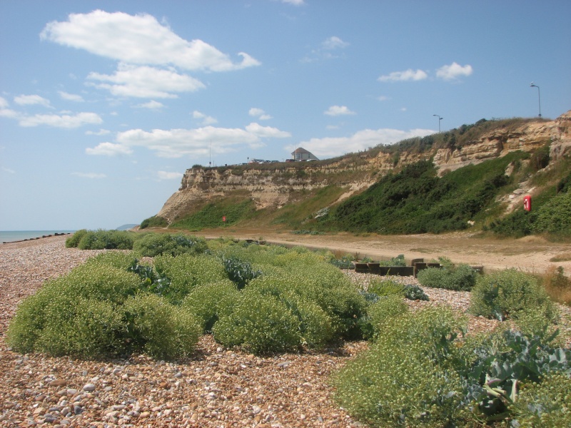 Chestnut Meadow Camping and Caravan Park , Bexhill on Sea Img_0310