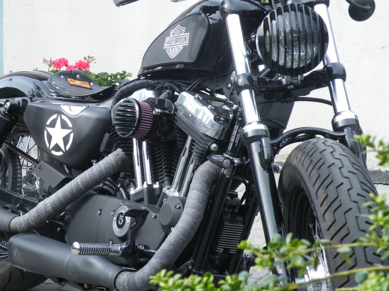 Nos Sportster et leurs modifs Dscf6510