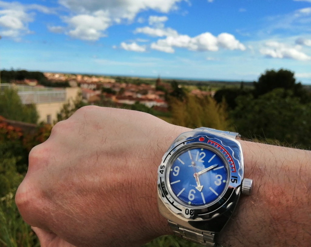 Requête wristshots d'Amphibia 090 pour comparer Img_2076