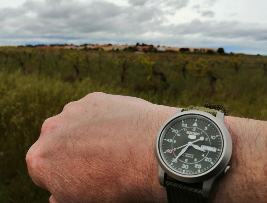 Requête wristshots d'Amphibia 090 pour comparer Img_2077