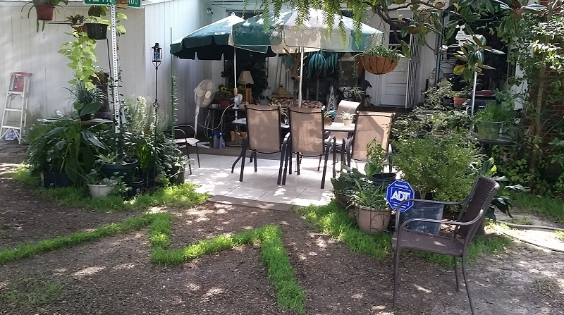 Seaoat:  Since you're the forum "muslim whisperer",  can you explain this? Patio111