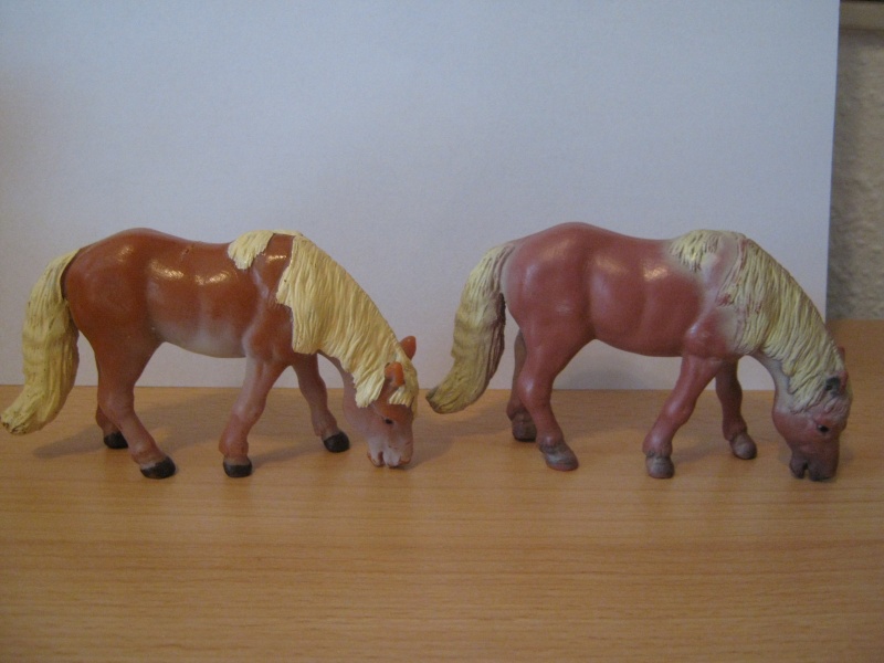 horses - My new models of the last weeks - Page 14 13209_11