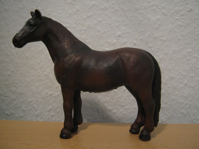 horses - My new models of the last weeks - Page 14 13227_10