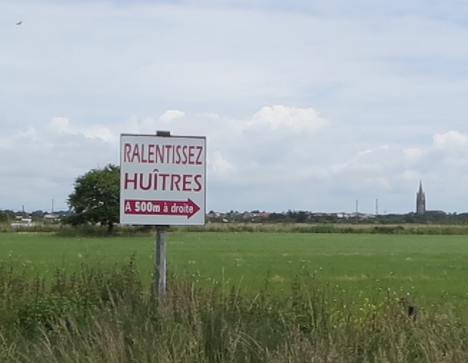 animaux - Animaux croisés sur la route pendant vos sorties en VH - Page 13 Huitre10