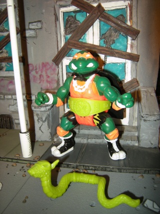 Tortues Ninja / Teenage Mutant Ninja Turtles (Playmates) 1987-1997 Dscn3430