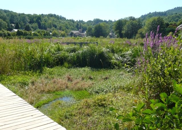 Quand les collectivités ont de bonnes initiatives... - Page 2 Zone210