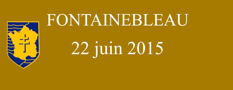 Adieux de Fontainebleau 22 juin 2015 Bandea11