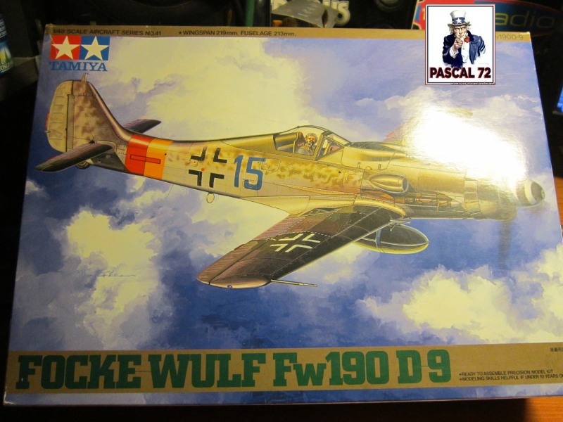 Focke Wulf 190 D9 de Tamiya au 1/ 48 par pascal 72 Img_4890