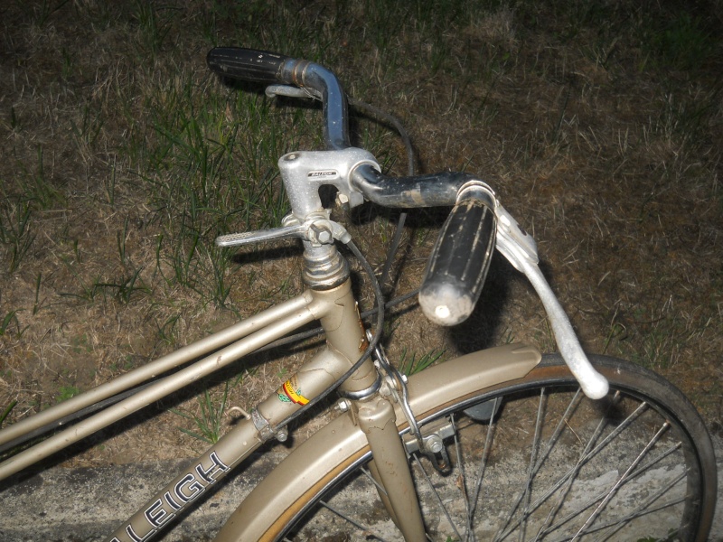 RALEIGH LADY 1981 5 v Dscn6915