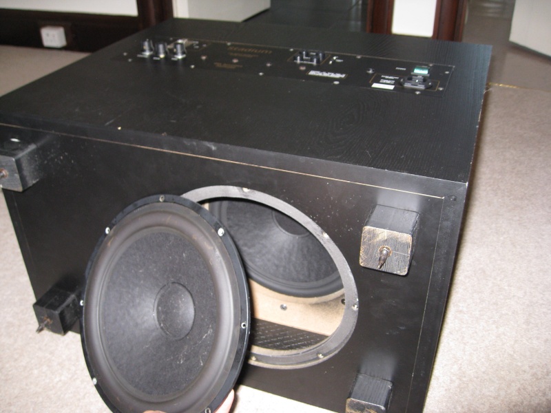 10" woofer unit from REL Stadium  Image18