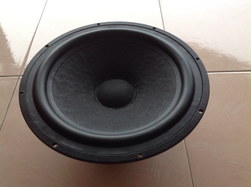 10" woofer unit from REL Stadium  Image19