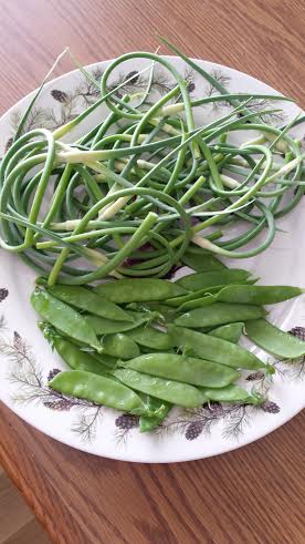 Snow peas and garlic scapes Unname11