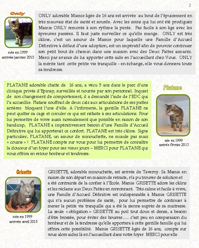 Gazette des Minouchets de l'EDC - Page 3 Gazett13