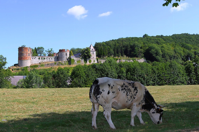 Chateau de hierges  La_vac10