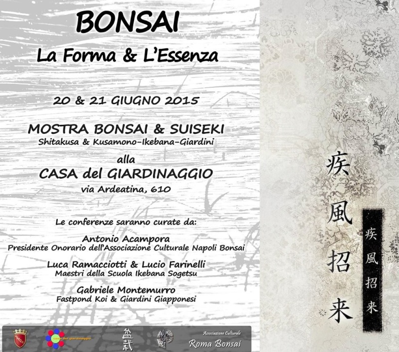 Mostra bonsai e suiseki a Roma. Locand10