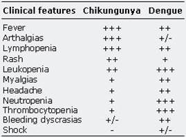 PSA(public service announcement) : Chikungunya virus in Guadalajara Imagen11